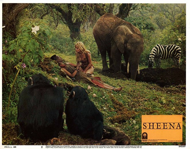 Sheena, a Rainha da Selva - Cartões lobby - Tanya Roberts