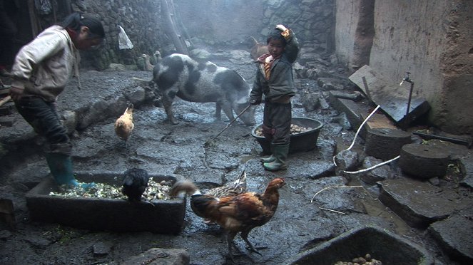Les Trois Soeurs du Yunnan - Van film