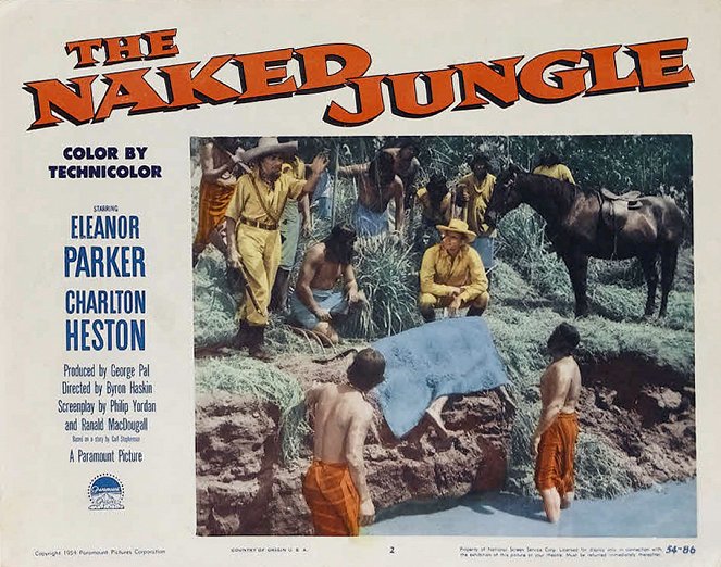 The Naked Jungle - Lobbykaarten