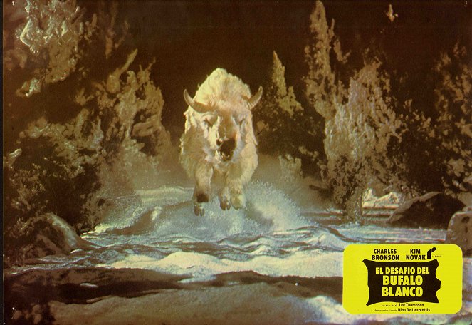 The White Buffalo - Lobbykaarten