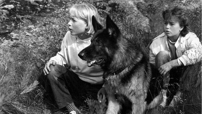 Susikoira Roi - De la película - Paavo Westerberg, Jami el perro