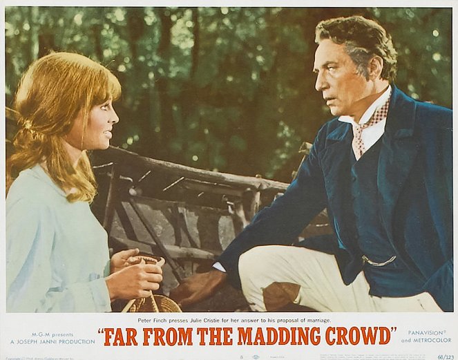 Far from the Madding Crowd - Vitrinfotók - Peter Finch, Julie Christie