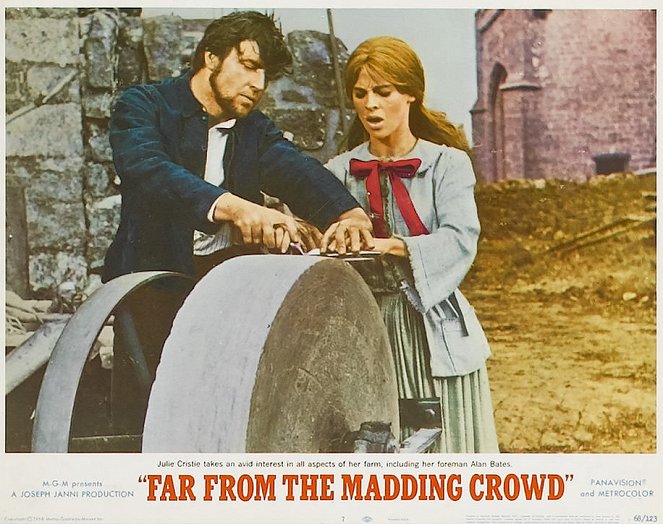 Far from the Madding Crowd - Lobby karty - Alan Bates, Julie Christie