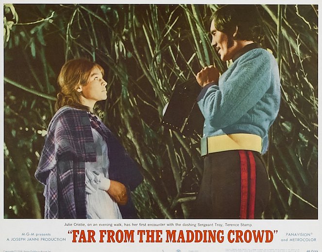 Far from the Madding Crowd - Vitrinfotók - Julie Christie, Terence Stamp