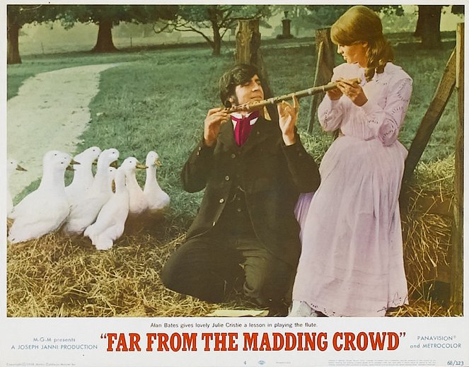 Far from the Madding Crowd - Vitrinfotók - Alan Bates, Julie Christie