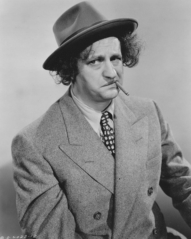Three Pests in a Mess - Promo - Larry Fine