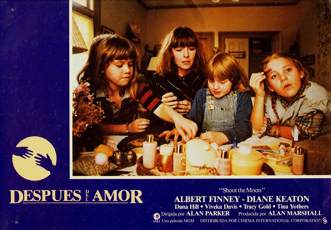 Después del amor - Fotocromos - Diane Keaton