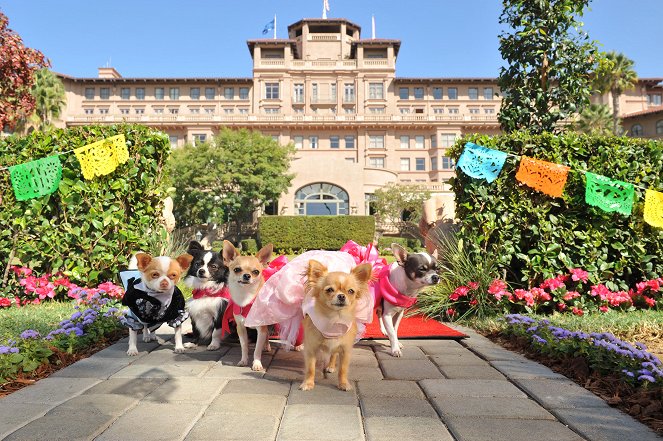 Le Chihuahua de Beverly Hills 3 : Viva la fiesta ! - Film