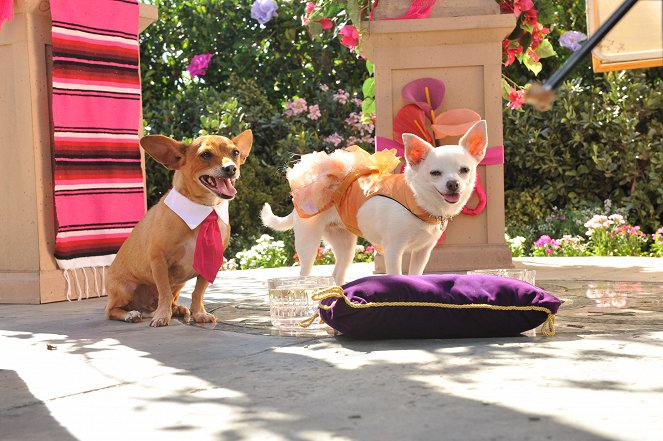 Beverly Hills Chihuahua 3: Viva La Fiesta! - Do filme