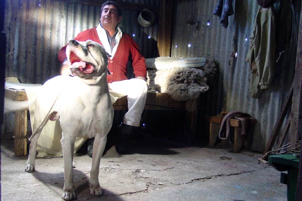 El perro - Do filme - Juan Villegas