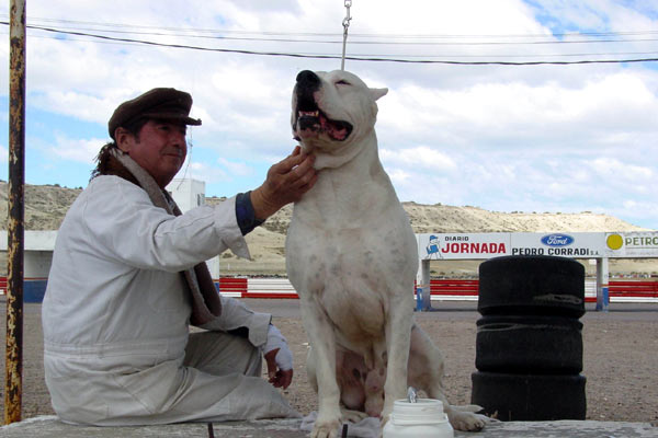 Bombón: El perro - Van film - Juan Villegas