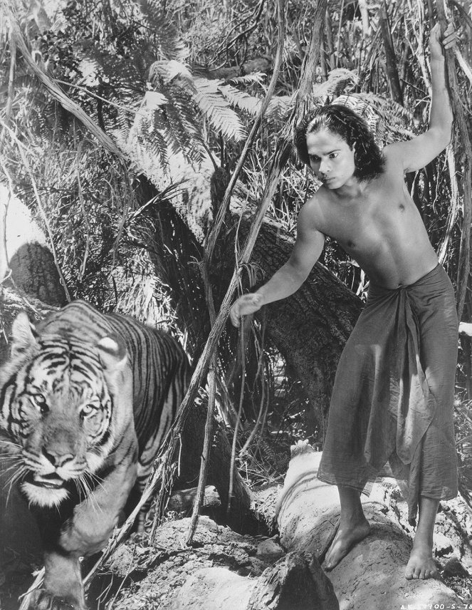 Jungle Book - Kuvat elokuvasta - Sabu