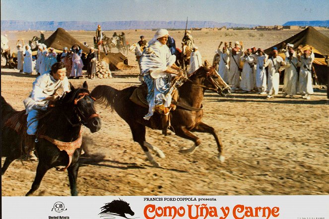 The Black Stallion Returns - Lobby Cards