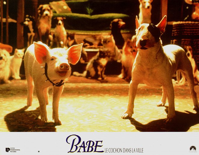 Babe, le cochon dans la ville - Cartes de lobby