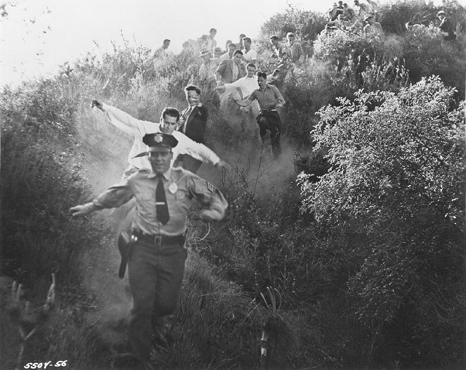 Invasion of the Body Snatchers - Van film