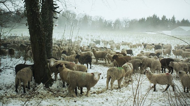 Winternomaden - Filmfotos