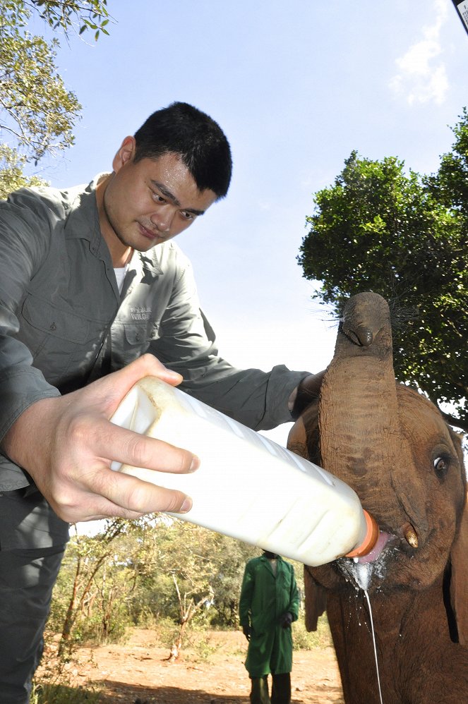 Saving Africa's Giants with Yao Ming - Photos - Yao Ming