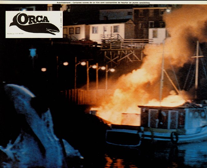 Orca, der Killerwal - Lobbykarten