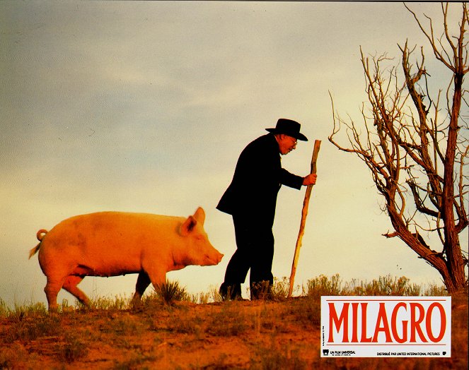 O Segredo de Milagro - Cartões lobby