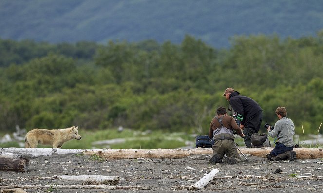 Bears - De filmagens