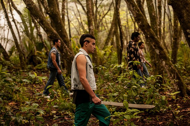 Escobar: Elveszett Paradicsom - Filmfotók