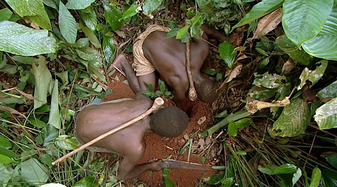 Los últimos cazadores en Camerún - De la película