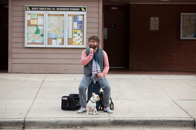 Terhes társaság - Filmfotók - Zach Galifianakis