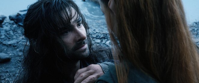 Le Hobbit : La bataille des qinq armées - Film - Aidan Turner
