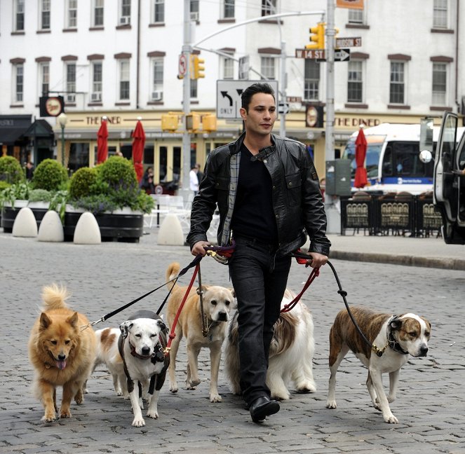 Dogs in the City - Do filme