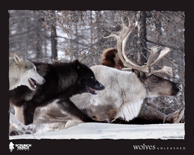Wolves Unleashed - Mainoskuvat