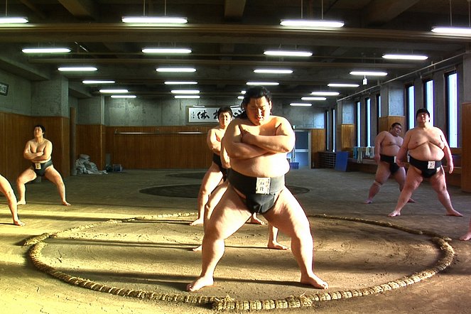 A Normal Life. Chronicle of a Sumo Wrestler - Z filmu