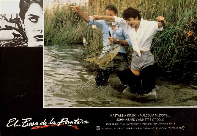 A Felina - Cartões lobby - John Heard, Nastassja Kinski