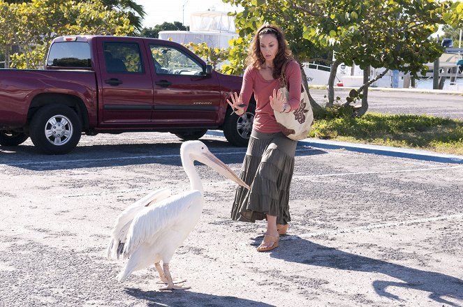 Delfines kaland - Filmfotók - Ashley Judd