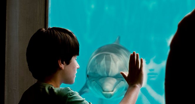 Dolphin Tale - Van film