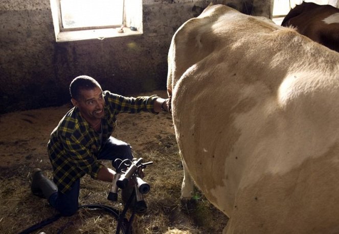 24 Milchkühe und kein Mann - Van film - Christofer von Beau