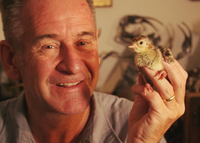 My Family and Other Turkeys with Nigel Marven - Filmfotók