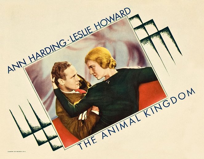 The Animal Kingdom - Cartes de lobby