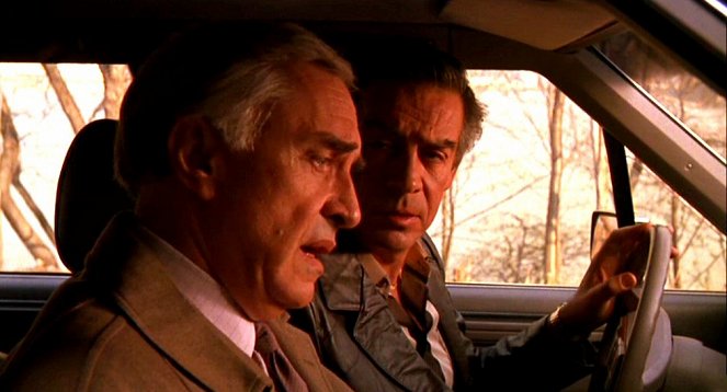 Crimes and Misdemeanors - Van film - Martin Landau, Jerry Orbach