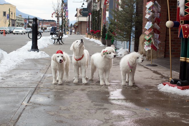 Santa Paws 2: The Santa Pups - Z filmu