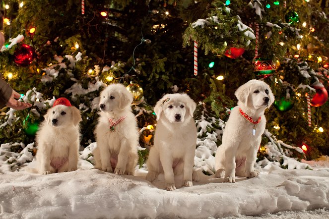 Santa Paws 2: The Santa Pups - Kuvat elokuvasta
