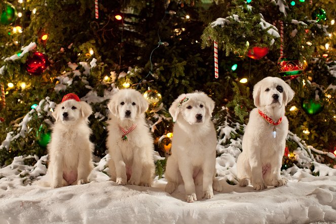 Santa Paws 2: The Santa Pups - Photos