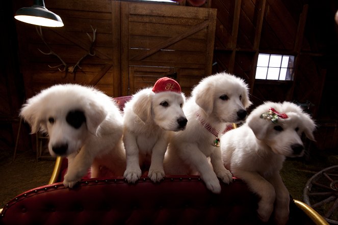 Santa Paws 2: The Santa Pups - De la película