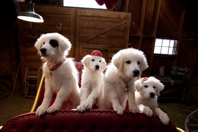 Santa Paws 2: The Santa Pups - De filmes