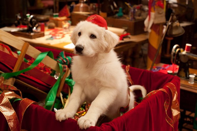 Przyjaciel Świętego Mikołaja 2: Świąteczne szczeniaki - Z filmu