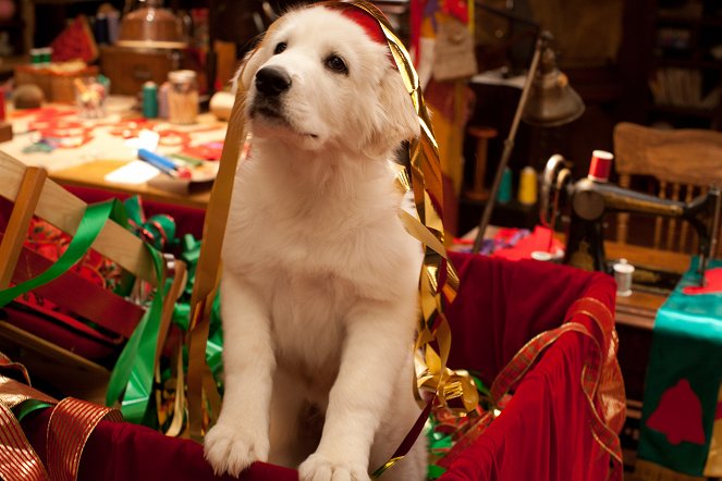 Przyjaciel Świętego Mikołaja 2: Świąteczne szczeniaki - Z filmu