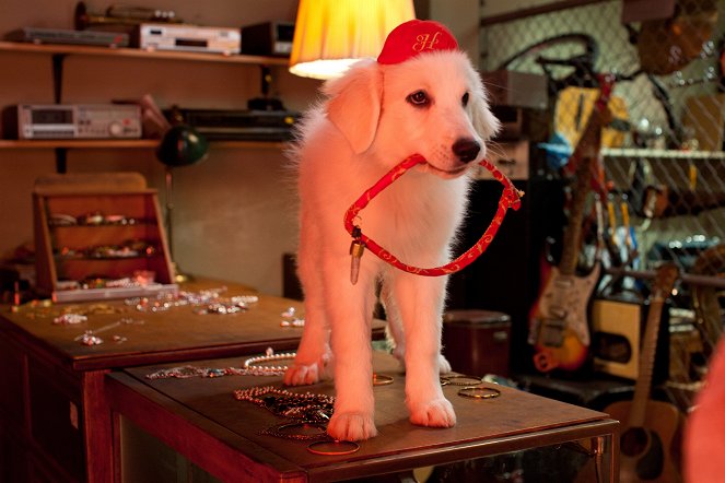 Santa Paws 2: The Santa Pups - Van film