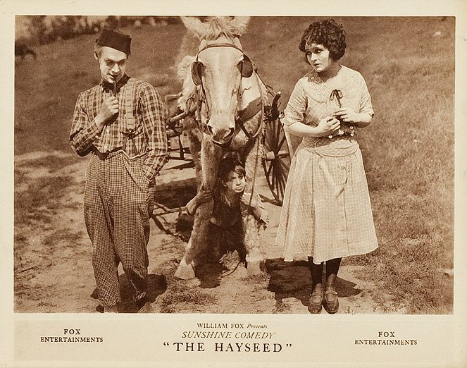 The Hayseed - Lobby Cards