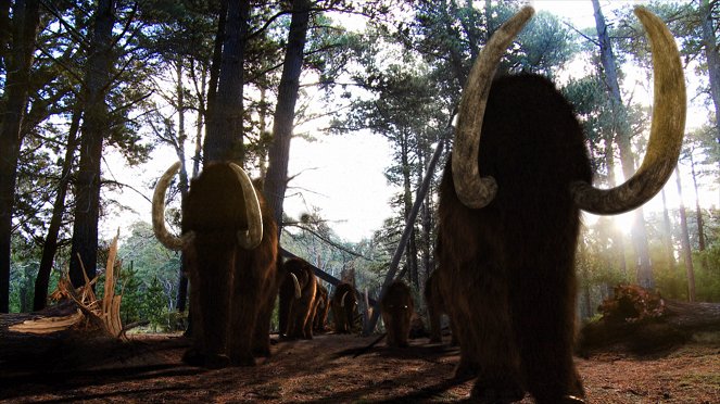 Prehistoric Elephant - Do filme