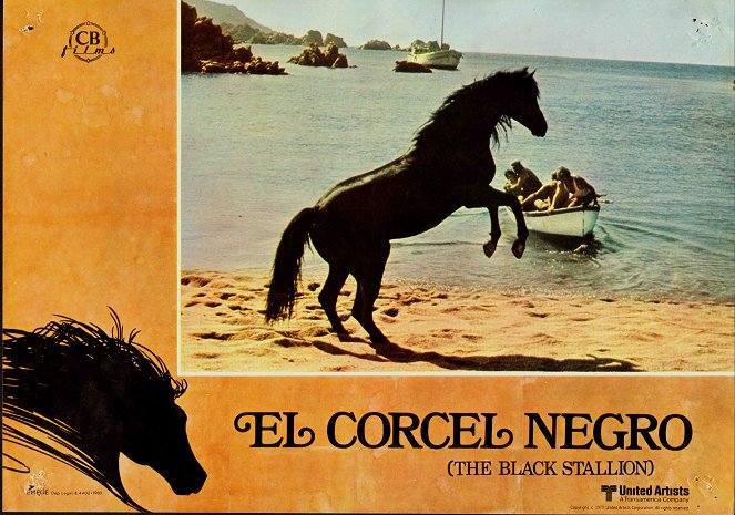 The Black Stallion - Lobby Cards