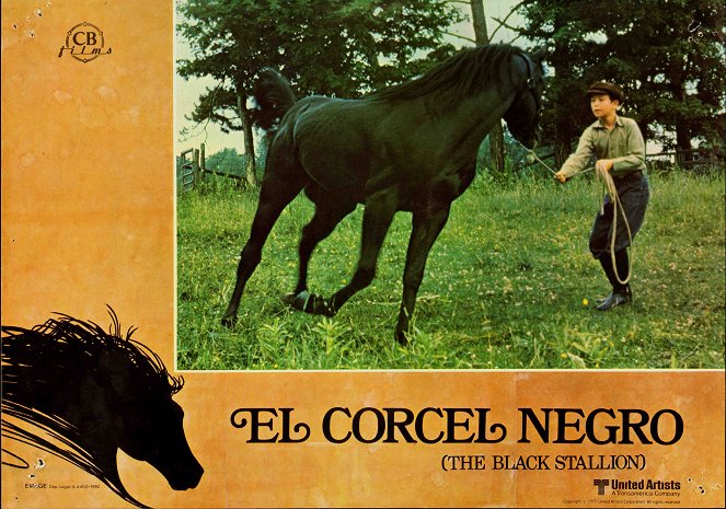 The Black Stallion - Lobbykaarten - Kelly Reno